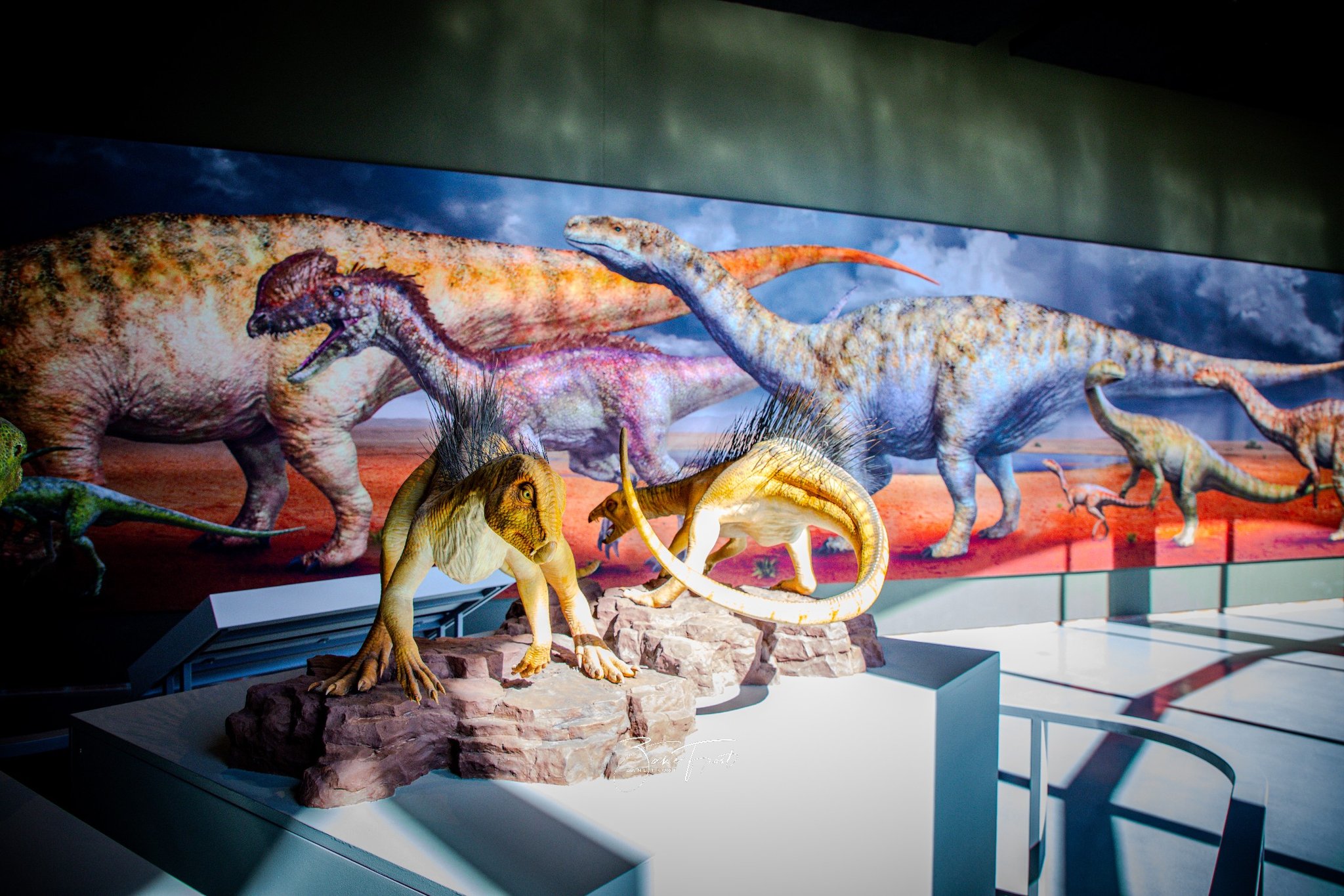Dinosaur Centre